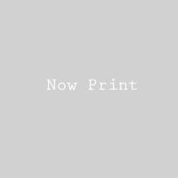 nowprint